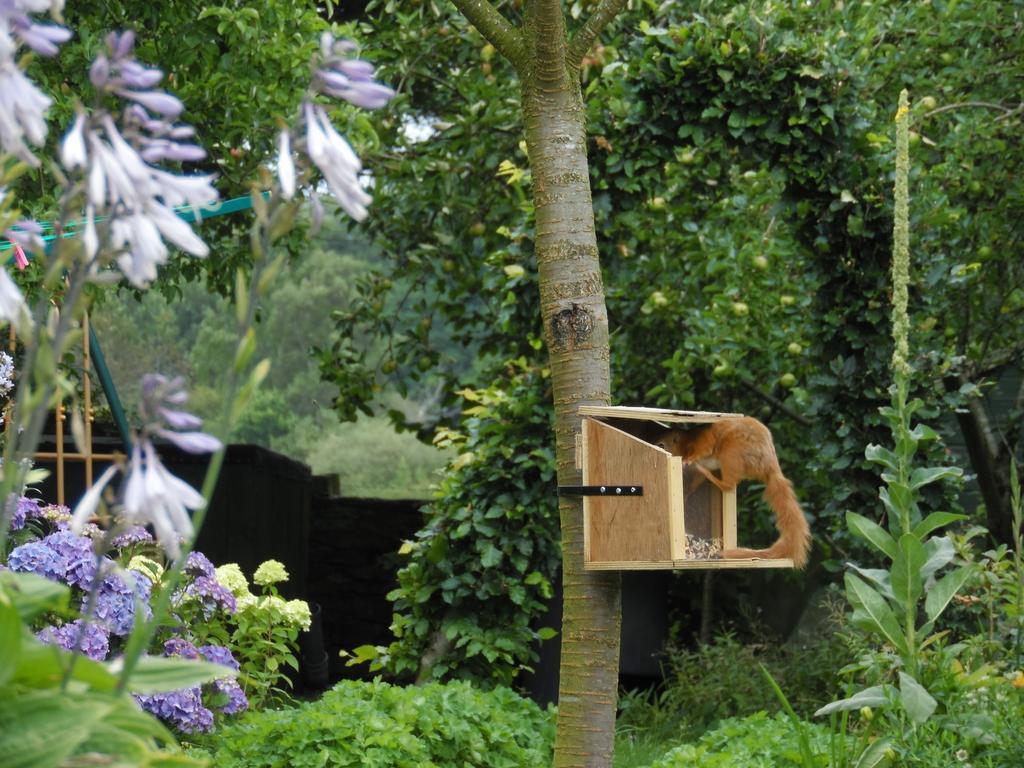 The Haven B&B Castle Douglas ภายนอก รูปภาพ